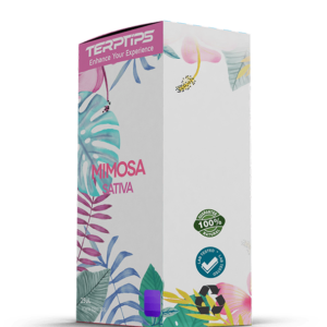mimosa