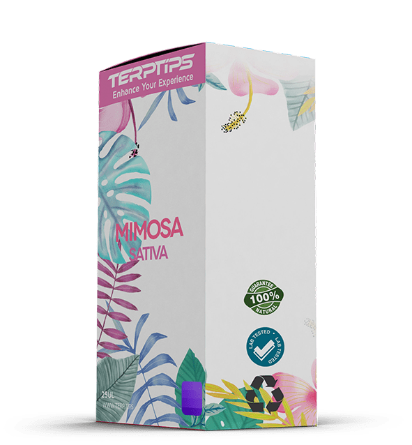 MIMOSA